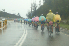 C031305D-E79E-42F7-9428-E8137BAFD969_P1110887